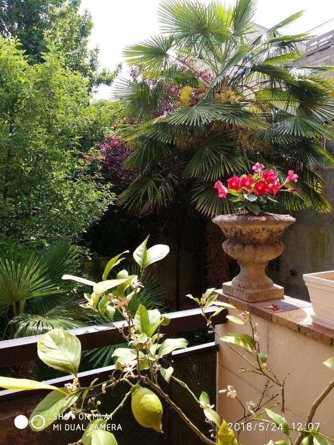 Appartement Charmant A Alfortville 30M² Terrasse Et Jardin Exteriér fotografie